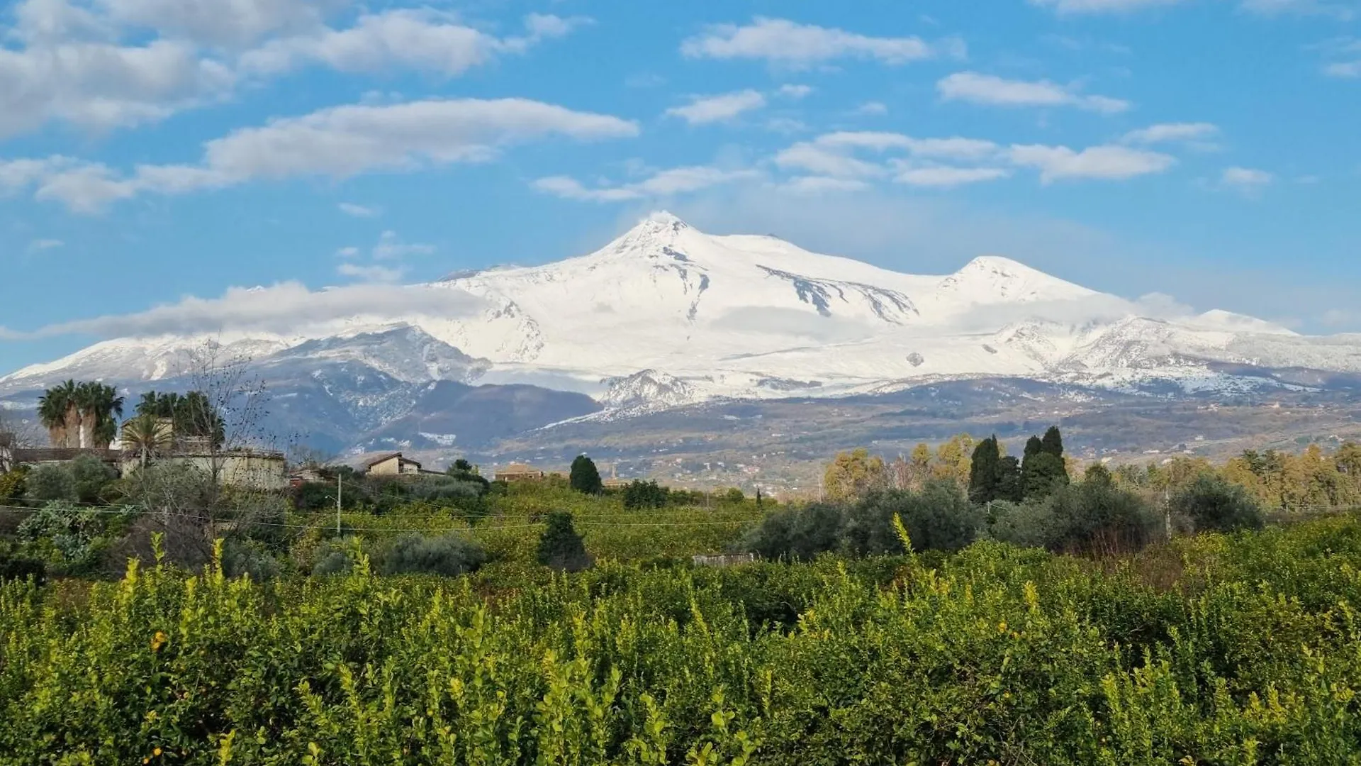 Luxury Relaxing Home With Heated Pool Near Catania, Taormina, The Sea And Mount Etna Giarre Apartment